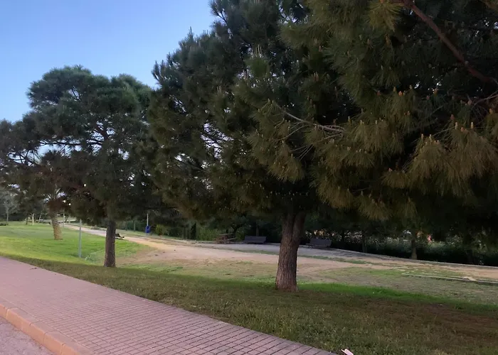 Punta Prima 3 Bedrooms And Solarium Sea View Torrevieja